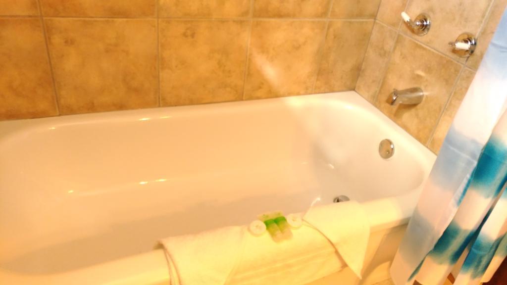 Maple Leaf Motel Delhi Екстериор снимка